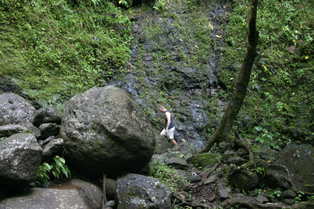 2008/01(January)/Hawaii/Jan12/1-Manoa-Falls/1024x768_2008-01-12-Hawaii-Manoa-Trail-18-Travis.JPG