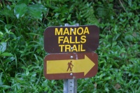2008/01(January)/Hawaii/Jan12/1-Manoa-Falls/2008-01-12-Hawaii-Manoa-Trail-01.JPG