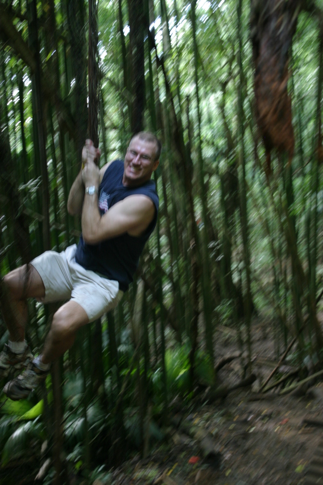 2008/01(January)/Hawaii/Jan12/1-Manoa-Falls/640x480_2008-01-12-Hawaii-Manoa-Trail-23-Travis-vine.JPG