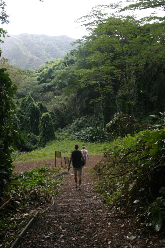 2008/01(January)/Hawaii/Jan12/1-Manoa-Falls/640x480_2008-01-12-Hawaii-Manoa-Trail-26-Travis.JPG