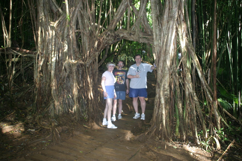 2008/01(January)/Hawaii/Jan12/1-Manoa-Falls/800x600_2008-01-12-Hawaii-Manoa-Trail-11-Juanita-Rob-Steve.JPG