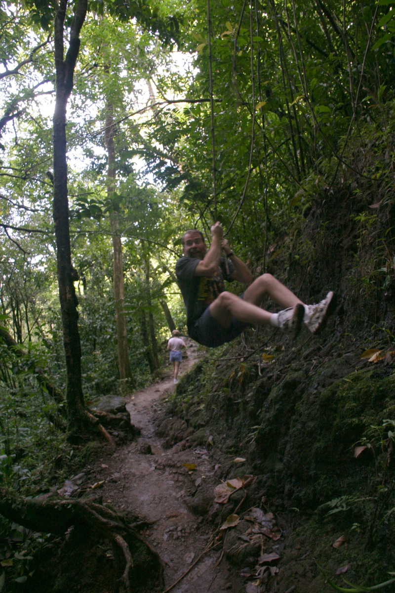 2008/01(January)/Hawaii/Jan12/1-Manoa-Falls/800x600_2008-01-12-Hawaii-Manoa-Trail-20-Rob-vine.JPG