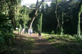 2008-01-12-Hawaii-Manoa-Trail-07-Bil-Juanita-Steve-Rob.JPG