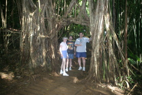 2008-01-12-Hawaii-Manoa-Trail-11-Juanita-Rob-Steve.JPG