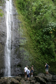 2008-01-12-Hawaii-Manoa-Trail-15-Bill-Steve-Rob-Travis.JPG