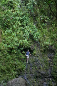 2008-01-12-Hawaii-Manoa-Trail-16-Travis.JPG