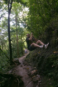 2008-01-12-Hawaii-Manoa-Trail-20-Rob-vine.JPG
