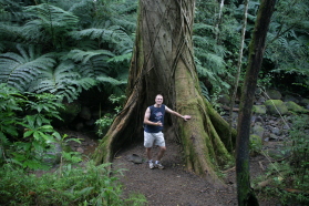 2008-01-12-Hawaii-Manoa-Trail-24-Travis-GOOD.JPG
