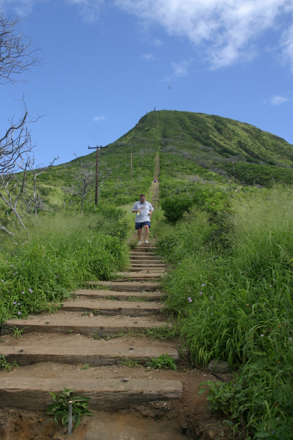 2008-01-12-Hawaii-KoKo-Crater-41-Steve.JPG