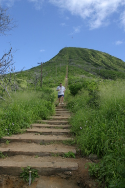 2008-01-12-Hawaii-KoKo-Crater-41-Steve.JPG