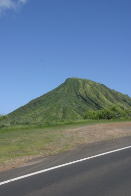 2008-01-12-Hawaii-KoKo-Crater-46.JPG