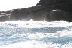 2008-01-12-Hawaii-Lava-Tube-21.JPG