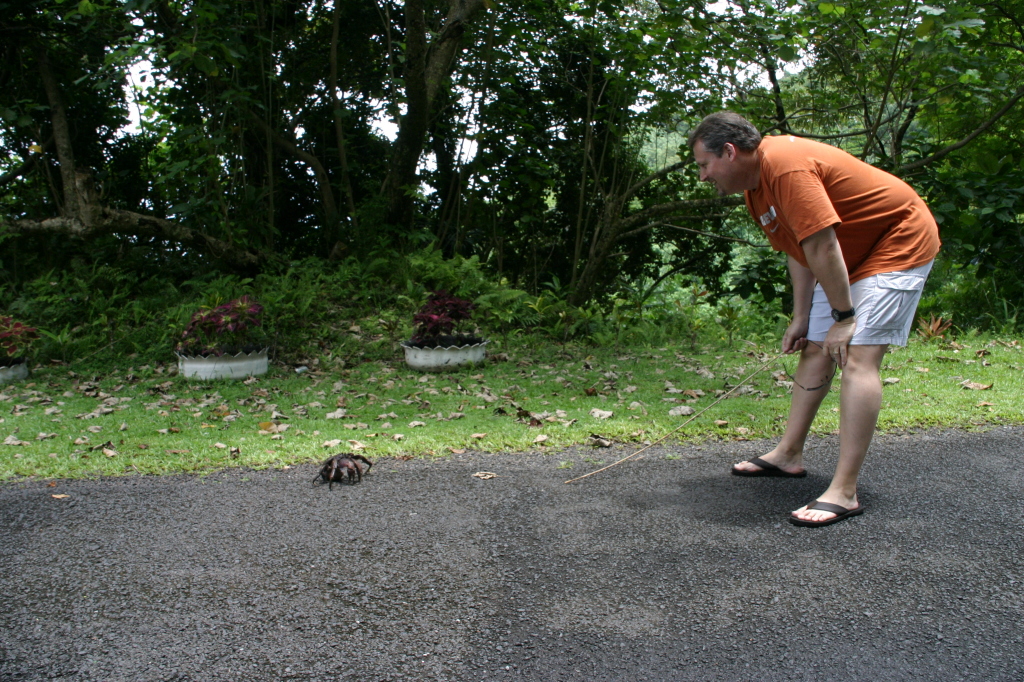 2008/01(January)/Hawaii/Jan17-American-Samoa/1024x768_2008-01-17-American-Samoa-56-giant-crab-GOOD.JPG