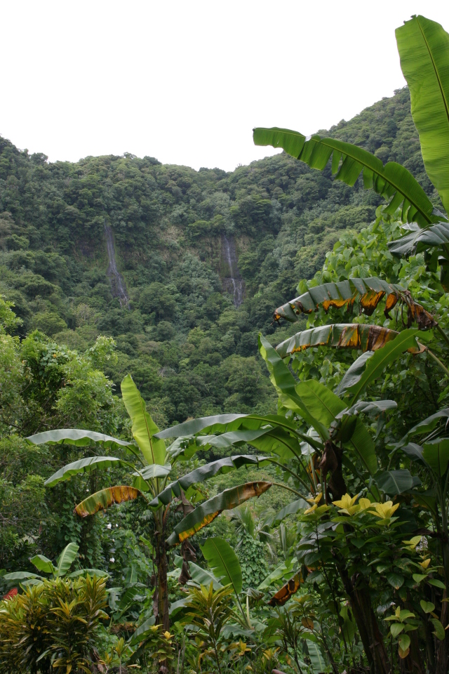 2008/01(January)/Hawaii/Jan17-American-Samoa/640x480_2008-01-17-American-Samoa-10-waterfalls.JPG