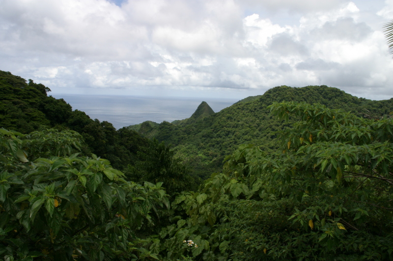 2008/01(January)/Hawaii/Jan17-American-Samoa/800x600_2008-01-17-American-Samoa-63.JPG