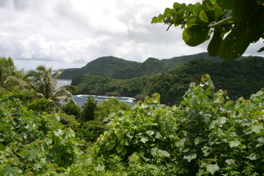 2008-01-17-American-Samoa-14-GOOD.JPG