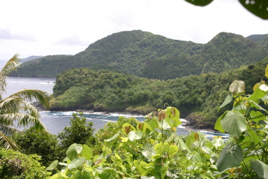 2008-01-17-American-Samoa-15.JPG