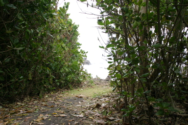 2008-01-17-American-Samoa-26.JPG