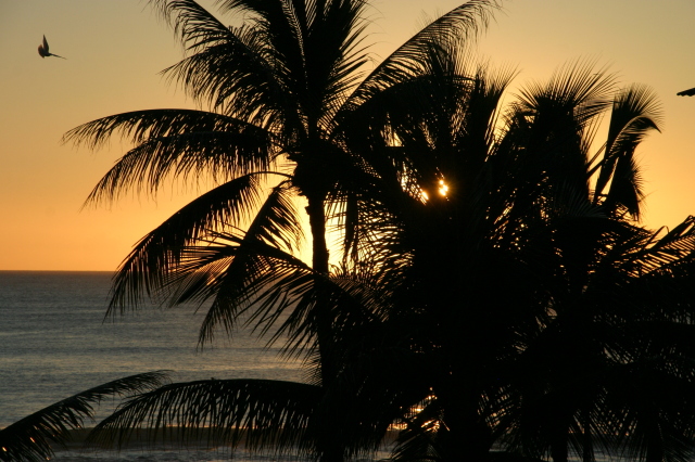 2008/01(January)/Hawaii/Jan18/640x480_2008-01-18-Hawaii-12-sunset-GOOD.JPG