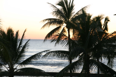 2008-01-18-Hawaii-24-sunset.JPG