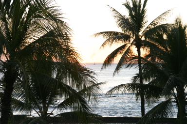 2008-01-18-Hawaii-26-sunset.JPG