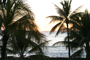 2008-01-18-Hawaii-27-sunset.JPG
