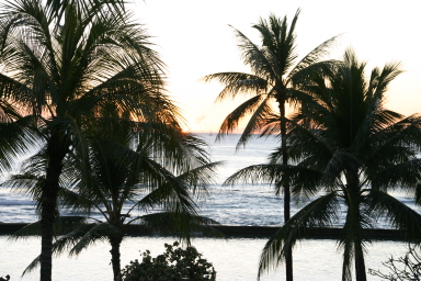 2008-01-18-Hawaii-31-sunset.JPG