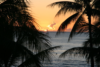 2008-01-18-Hawaii-32-sunset.JPG