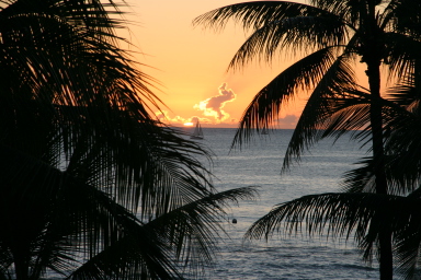 2008-01-18-Hawaii-33-sunset.JPG