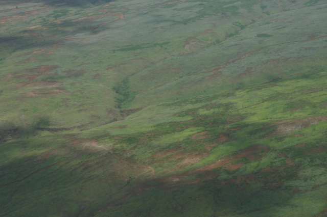 2008/01(January)/Hawaii/Jan19-Juanita-Cesna/640x480_2008-01-19-Hawaii-Juanita-Cesna-056.JPG