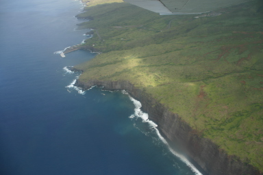 2008-01-19-Hawaii-Juanita-Cesna-045.JPG