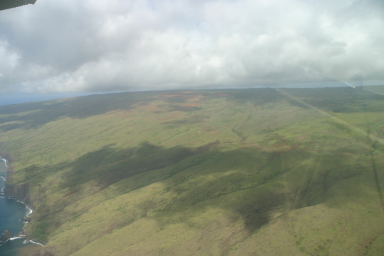 2008-01-19-Hawaii-Juanita-Cesna-057.JPG