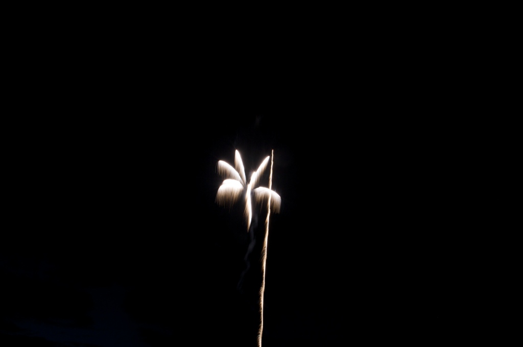 2008/07(July)/4th-July/1024x768_IMG_9553.jpg