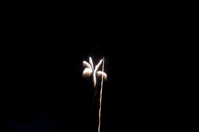 IMG_9553.jpg