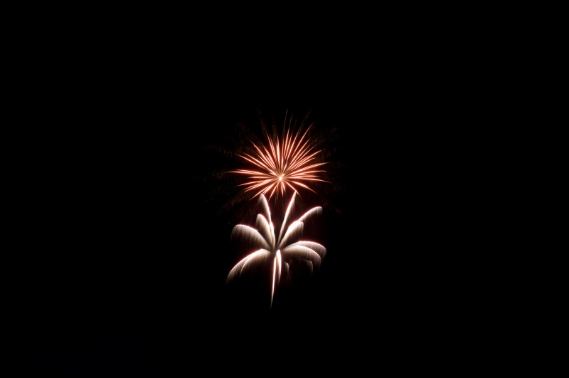 IMG_9556.jpg
