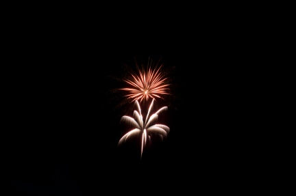 IMG_9556.jpg
