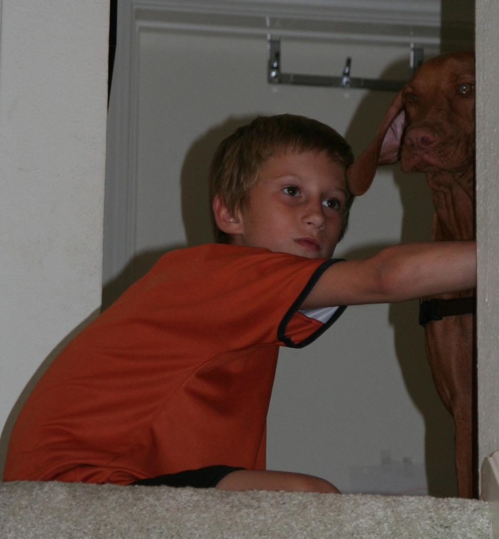 2008/10(October)/Bevo-the-Vizsla/1024x768_2008-10-04-Bevo-2.JPG