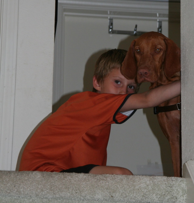 2008/10(October)/Bevo-the-Vizsla/640x480_2008-10-04-Bevo-1.JPG