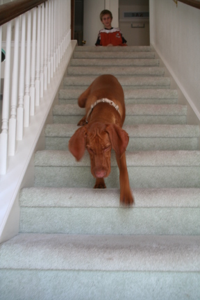 2008-10-04-Bevo-3.JPG