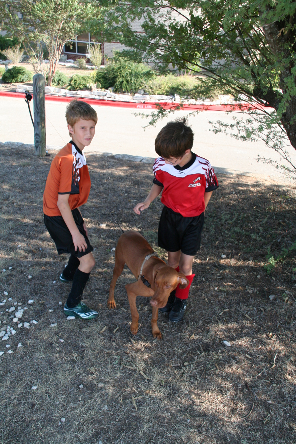 2008/10(October)/Titans-Soccer/1024x768_2008-10-04-Titans-40-Chance-Bevo-Dax.JPG