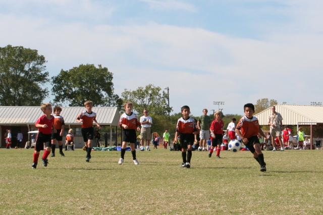 2008/11(November)/02-Tigersharks/640x480_2008-11-02-TigerSharks-10-Nicholas-Will-Chance-Jonathan-Juan.JPG
