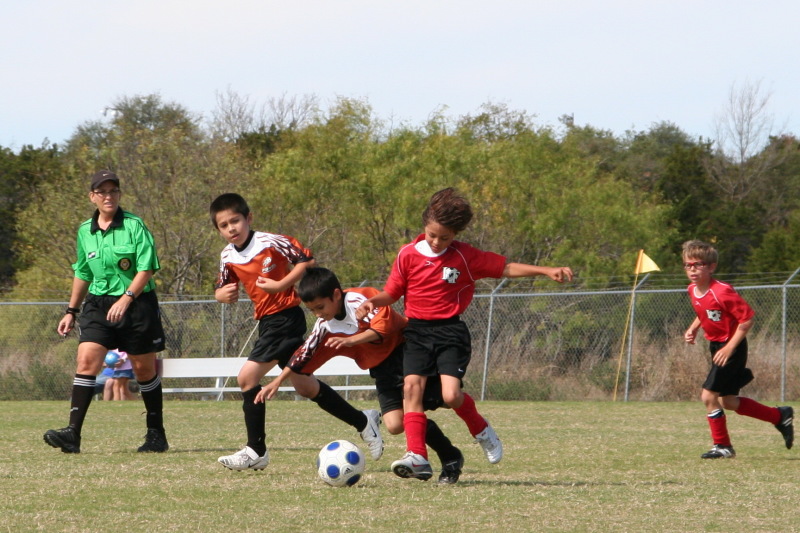 2008/11(November)/02-Tigersharks/800x600_2008-11-02-TigerSharks-30-Zeke-Biran.JPG