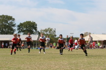 2008-11-02-TigerSharks-10-Nicholas-Will-Chance-Jonathan-Juan.JPG