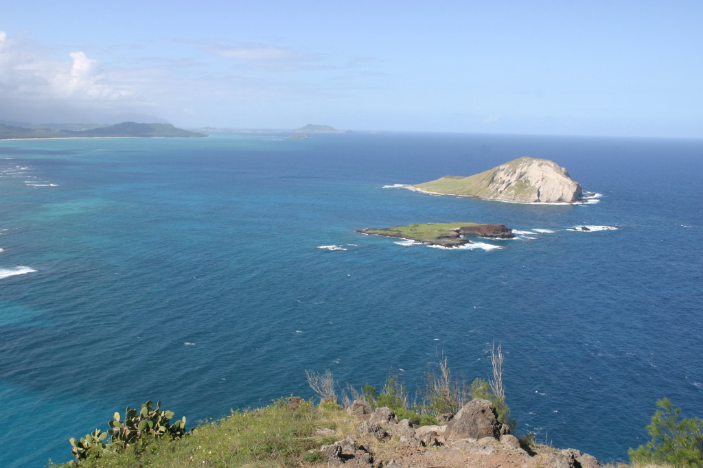 2008/Best_of/1024x768_2008-01-11-Hawaii-Lighthouse-Road-25-GOOD.JPG