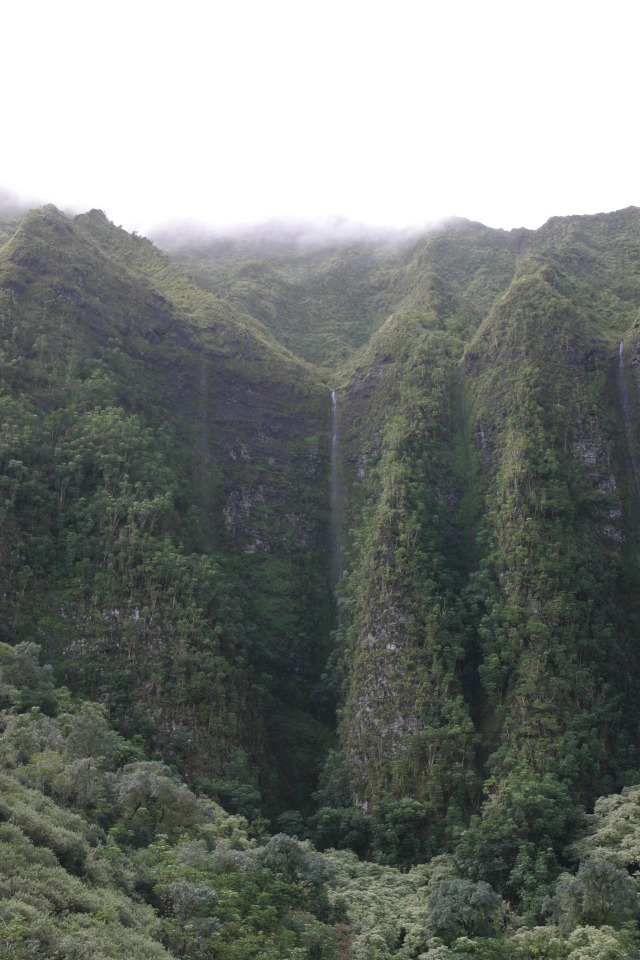 2008-01-06-Hawaii-driving-tour-07-waterfall-GOOD.JPG