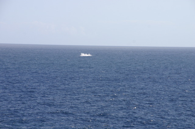 2008-01-11-Hawaii-Lighthouse-Road-41-whale-splash-GOOD.JPG