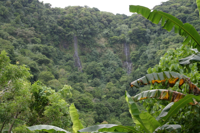 2008-01-17-American-Samoa-09-waterfalls-GOOD.JPG