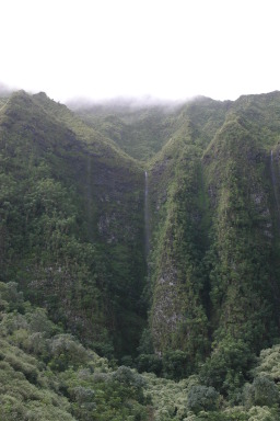2008-01-06-Hawaii-driving-tour-07-waterfall-GOOD.JPG