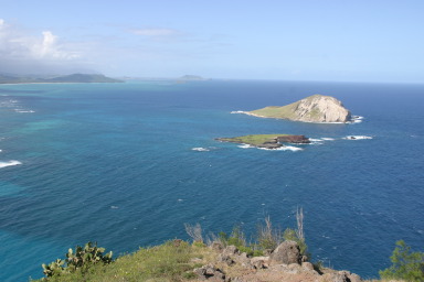 2008-01-11-Hawaii-Lighthouse-Road-25-GOOD.JPG