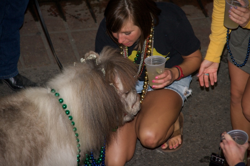 2009/02(February)/02_19_Mardi_Gras_Balcony/800x600_2009-02-19-Balcony-Party-21.jpg